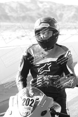 media/Feb-22-2025-2WTD (Sat) [[0e5b3c00f9]]/Around the Pits/